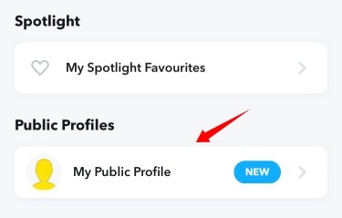 Cómo hacer un perfil público en Snapchat: Guía paso a paso