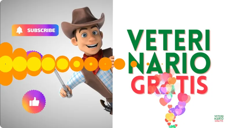 Tramite-de-Verificacion-de-Domicilio-Ante-el-SAT