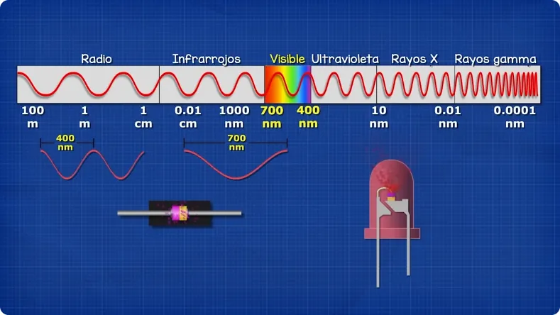 Trucos-para-limpiar-cangrejos-de-rio